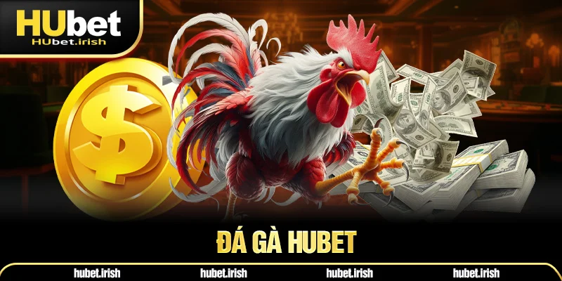 Đá Gà HUBET - Sân Chơi Cá Cược Đẳng Cấp Nhất 2025