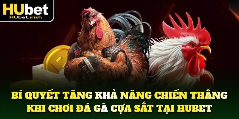 Các loại cựa phù hợp để tăng sức chiến đấu