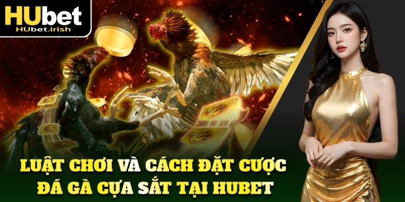 Luật chơi và cách đặt cược đá gà cựa sắt bạn cần biết