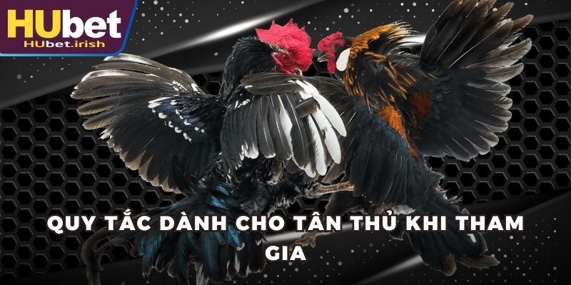 Quy tắc dành cho tân thủ khi tham gia