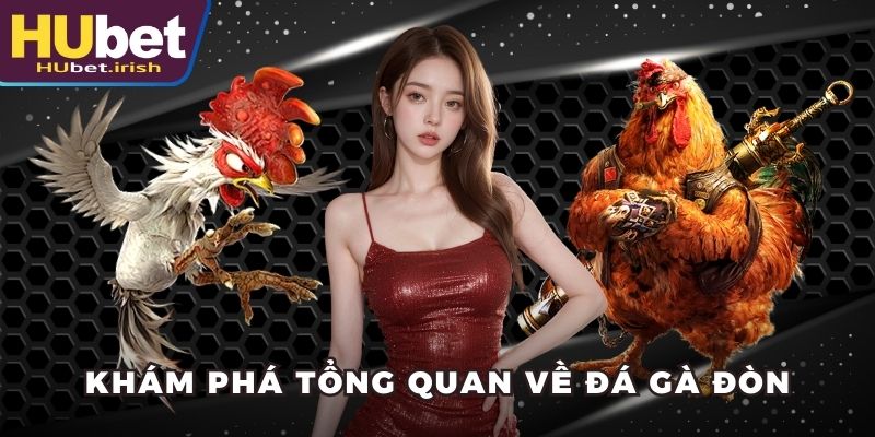 Khám phá tổng quan về đá gà đòn