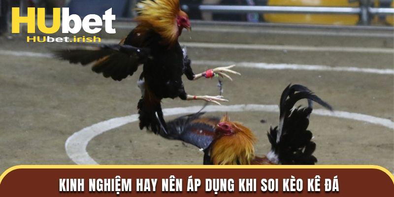 Kinh nghiệm hay nên áp dụng khi soi kèo kê đá