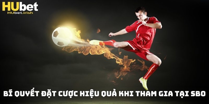 Bí quyết đặt cược hiệu quả khi tham gia tại SBO