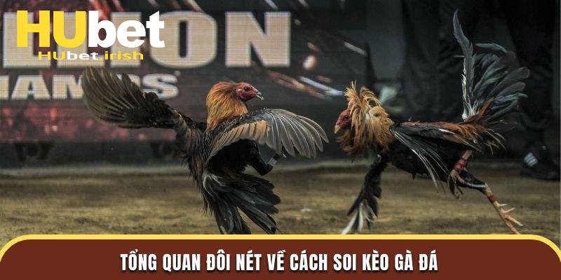 Tổng quan đôi nét về cách soi kèo gà đá