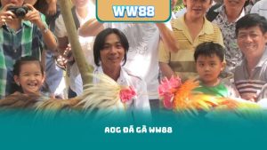 AOG Đá gà WW88 – Địa Chỉ Uy Tín Cho Tín Đồ Đá Gà