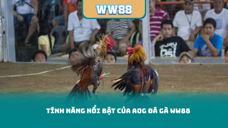 Tính năng nổi bật của AOG Đá gà WW88